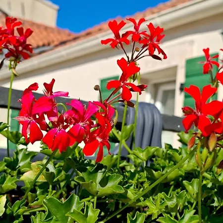 U Sri Sela Apartamento